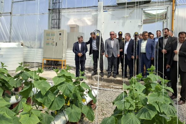 افتتاح گلخانه صیفی‌جات با بستر کوکوپیت و پرلیت در مشگین‌شهر