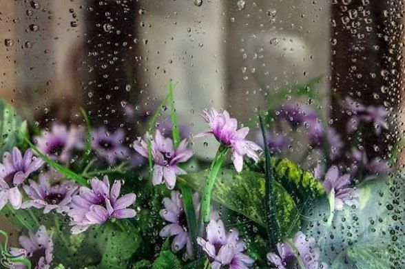 بارش پراکنده در نقاط مختلف کشور/ باد و گردوخاک در شرق و مرکز