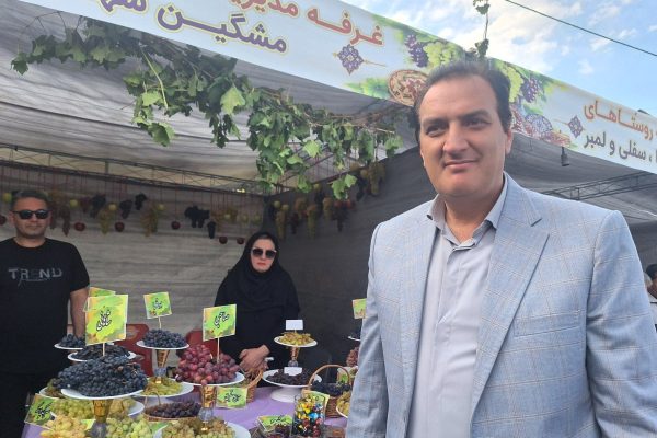 انگور مشگین‌شهر در مسیر تبدیل شدن به برند ملی/ جذب سرمایه‌گذار در اولویت جهاد کشاورزی